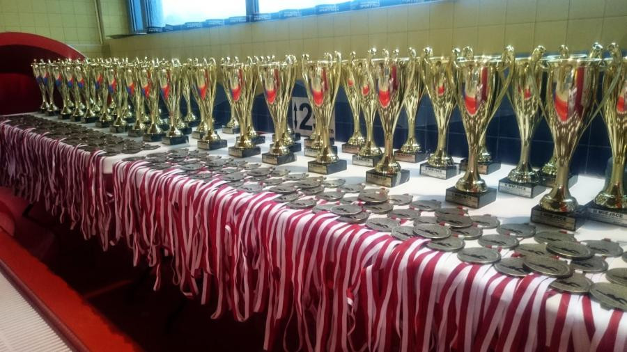 XV MIKOŁAJKOWE ZAWODY PŁYWACKIE SPORTTEAM 2016! DZIĘKUJEMY! BRAWO WY!:)